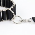 SM Collar Leash Slave Collar