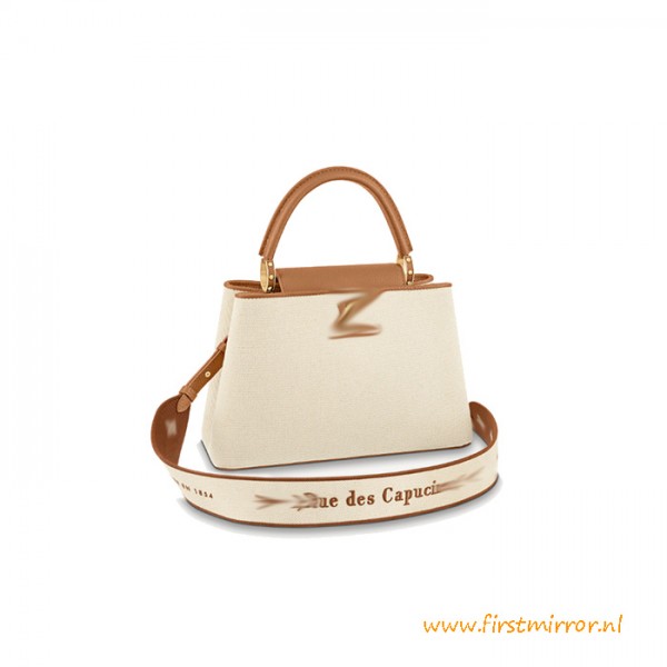 Authentic Design Top Quality Capucines Taurillon Leather Canvas Bag